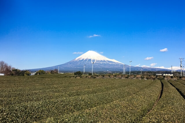 静岡移住の注意点